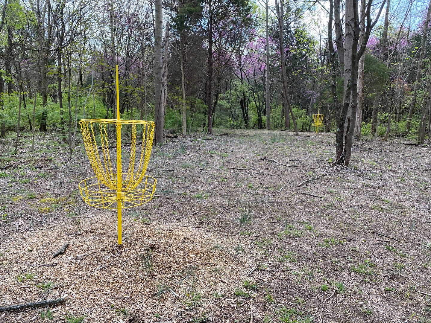 Walking Trail at the Oldham County Family YMCA Oldham Family Fun